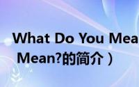What Do You Mean?（关于What Do You Mean?的简介）