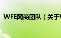 WFE网商团队（关于WFE网商团队的简介）