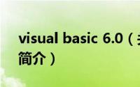 visual basic 6.0（关于visual basic 6.0的简介）
