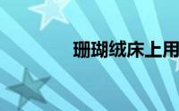 珊瑚绒床上用品睡了好不好