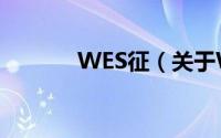 WES征（关于WES征的简介）