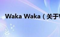 Waka Waka（关于Waka Waka的简介）