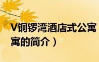 V铜锣湾酒店式公寓（关于V铜锣湾酒店式公寓的简介）