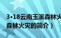 3·18云南玉溪森林火灾（关于3·18云南玉溪森林火灾的简介）