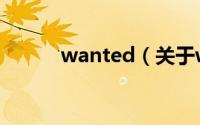 wanted（关于wanted的简介）