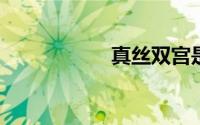 真丝双宫是什么面料