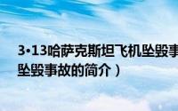 3·13哈萨克斯坦飞机坠毁事故（关于3·13哈萨克斯坦飞机坠毁事故的简介）