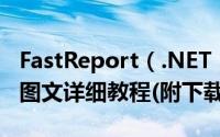 FastReport（.NET 2019 报表控件安装激活图文详细教程(附下载)）