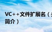 VC++文件扩展名（关于VC++文件扩展名的简介）