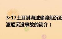 3·17土耳其海域偷渡船沉没事故（关于3·17土耳其海域偷渡船沉没事故的简介）