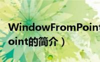 WindowFromPoint（关于WindowFromPoint的简介）