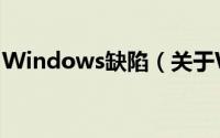 Windows缺陷（关于Windows缺陷的简介）