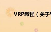 VRP教程（关于VRP教程的简介）