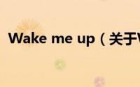 Wake me up（关于Wake me up的简介）