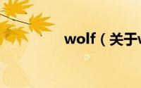wolf（关于wolf的简介）
