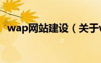 wap网站建设（关于wap网站建设的简介）