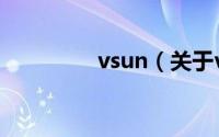 vsun（关于vsun的简介）
