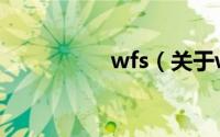wfs（关于wfs的简介）