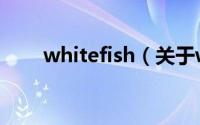 whitefish（关于whitefish的简介）
