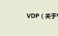 VDP（关于VDP的简介）