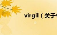 virgil（关于virgil的简介）