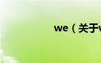 we（关于we的简介）