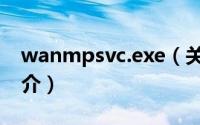 wanmpsvc.exe（关于wanmpsvc.exe的简介）