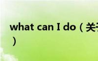 what can I do（关于what can I do的简介）