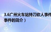 3.6广州火车站持刀砍人事件（关于3.6广州火车站持刀砍人事件的简介）