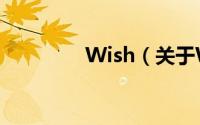 Wish（关于Wish的简介）
