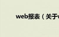 web报表（关于web报表的简介）