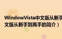 WindowVista中文版从新手到高手（关于WindowVista中文版从新手到高手的简介）