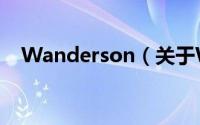 Wanderson（关于Wanderson的简介）