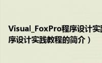 Visual_FoxPro程序设计实践教程（关于Visual_FoxPro程序设计实践教程的简介）