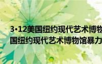 3·12美国纽约现代艺术博物馆暴力袭击事件（关于3·12美国纽约现代艺术博物馆暴力袭击事件的简介）