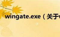 wingate.exe（关于wingate.exe的简介）
