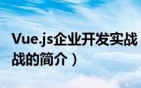 Vue.js企业开发实战（关于Vue.js企业开发实战的简介）