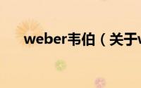 weber韦伯（关于weber韦伯的简介）