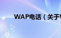 WAP电话（关于WAP电话的简介）