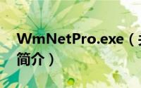 WmNetPro.exe（关于WmNetPro.exe的简介）