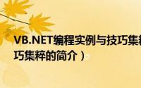 VB.NET编程实例与技巧集粹（关于VB.NET编程实例与技巧集粹的简介）