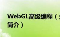 WebGL高级编程（关于WebGL高级编程的简介）