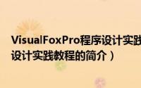 VisualFoxPro程序设计实践教程（关于VisualFoxPro程序设计实践教程的简介）