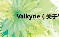 Valkyrie（关于Valkyrie的简介）