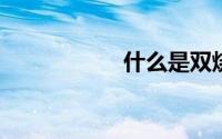 什么是双烧双丝面料