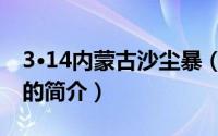 3·14内蒙古沙尘暴（关于3·14内蒙古沙尘暴的简介）