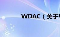 WDAC（关于WDAC的简介）