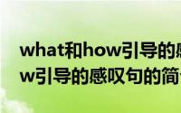 what和how引导的感叹句（关于what和how引导的感叹句的简介）
