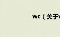 wc（关于wc的简介）