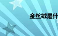 金丝绒是什么面料成份